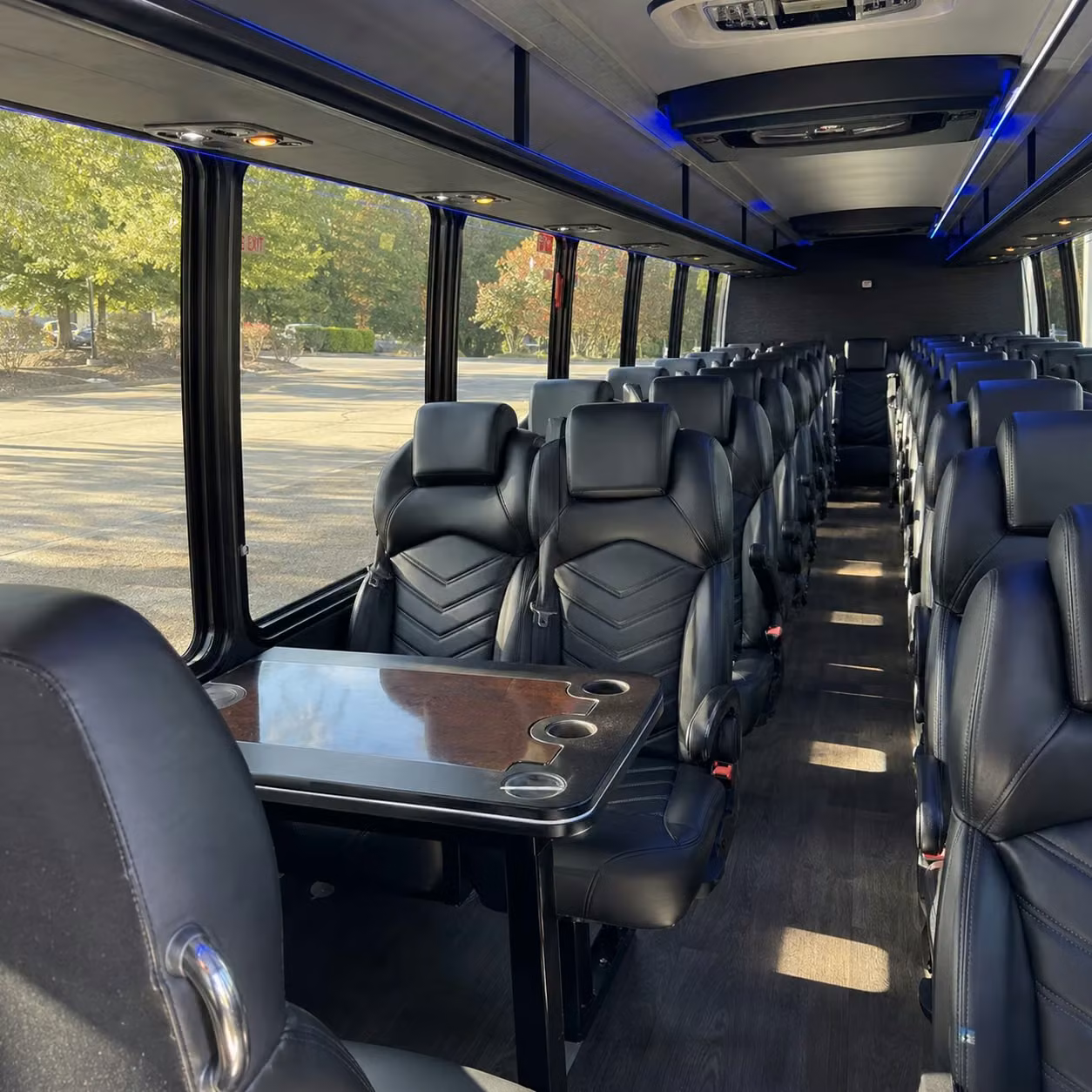 winter garden 15 passenger minibus rental