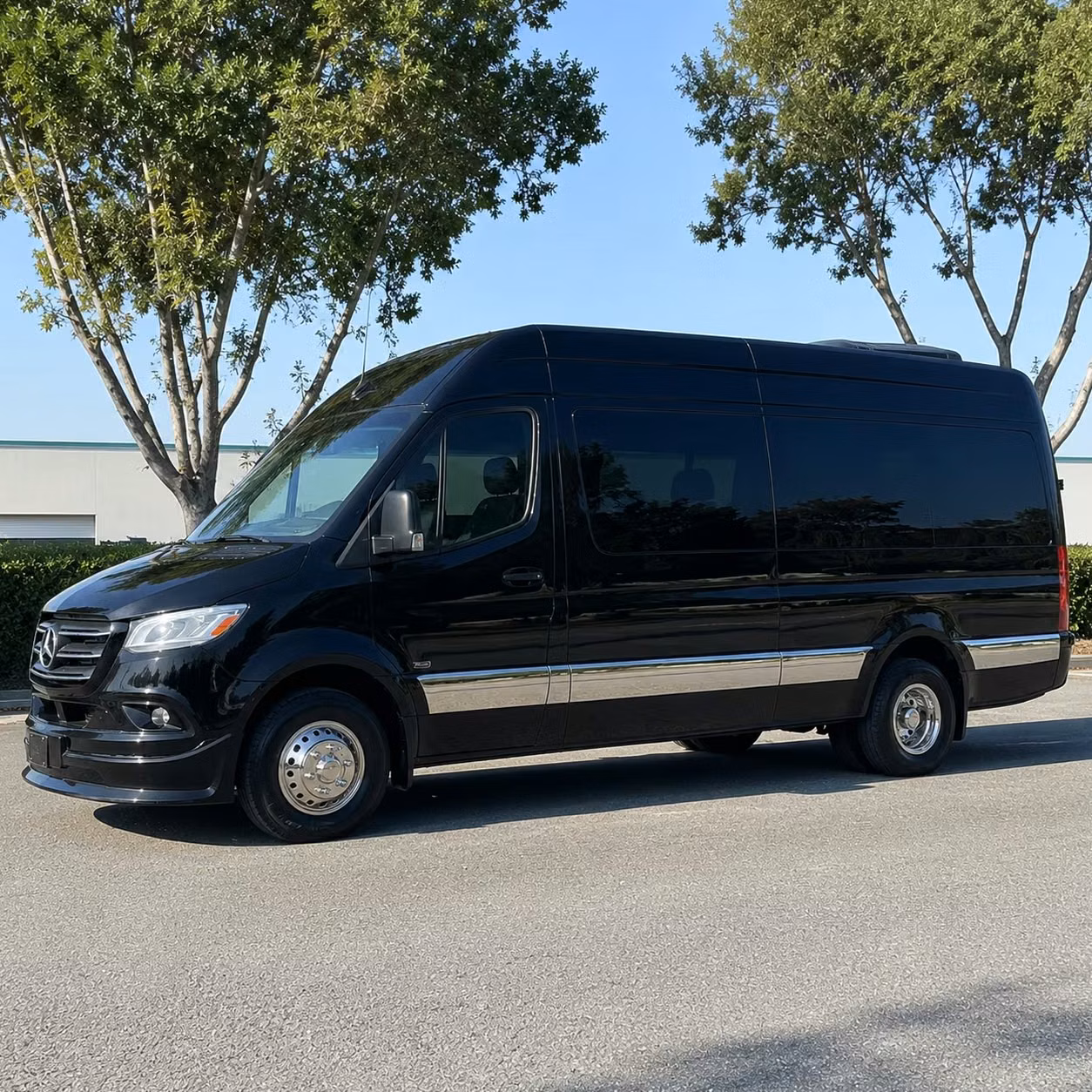 winter garden sprinter van rental with driver